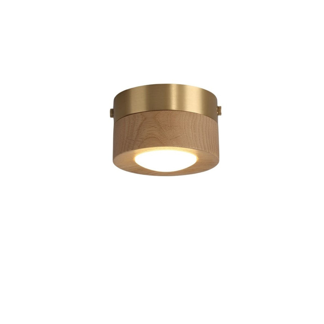 Plafondlamp voor Woonkamer met Natuurlijke Charm
