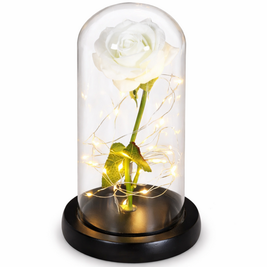 LED Eeuwige Roos