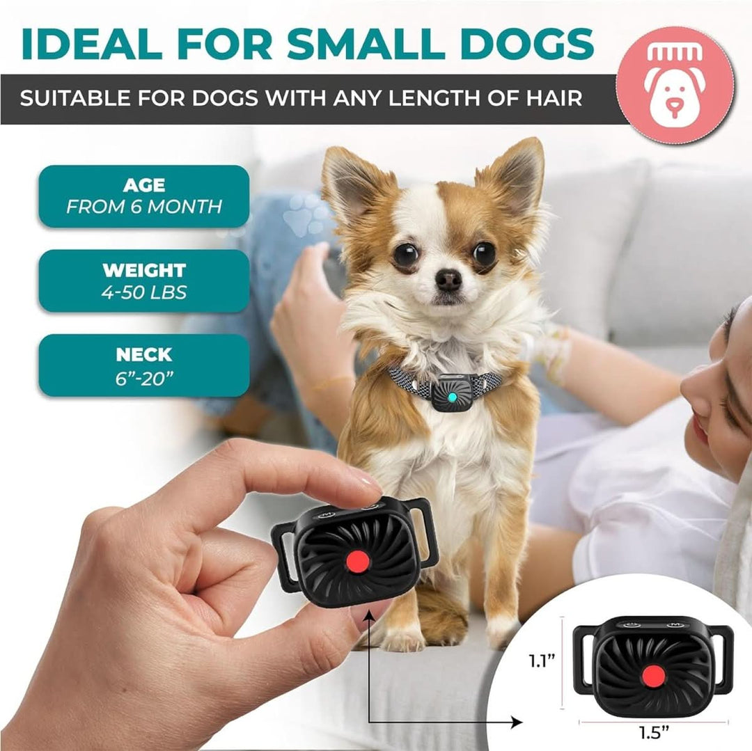 Antiblafhalsband voor Kleine Honden met Geluid en Trillingen 1