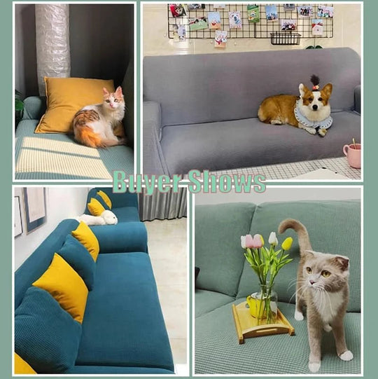 Bankhoes voor Huisdieren en Kinderen Antislip 4