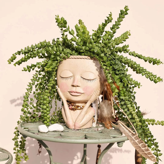 Charmante Bloempot voor Planten 7