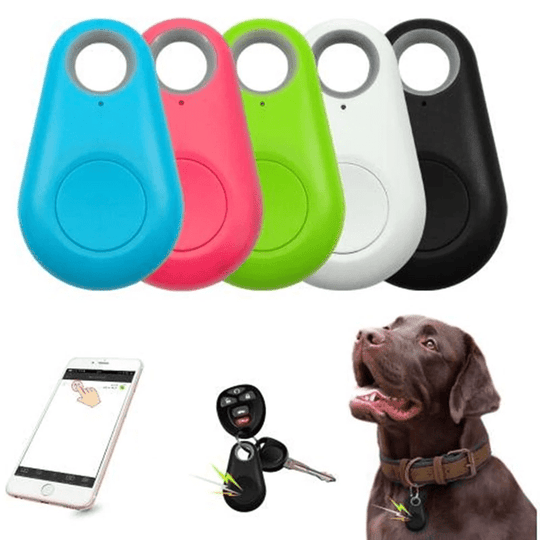 Compacte GPS-tracker voor huisdieren met realtime locatie 4