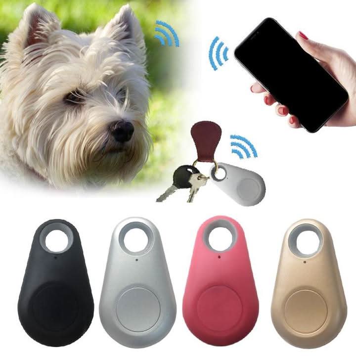 Compacte GPS-tracker voor huisdieren met realtime locatie 5