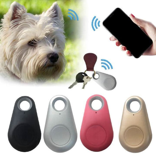 Compacte GPS-tracker voor huisdieren met realtime locatie 5