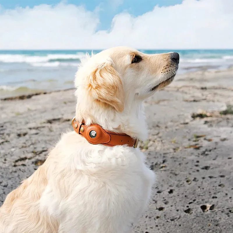Halsband Hond Met AirTag Bevestiging Voor Buitenactiviteit En Comfort 1