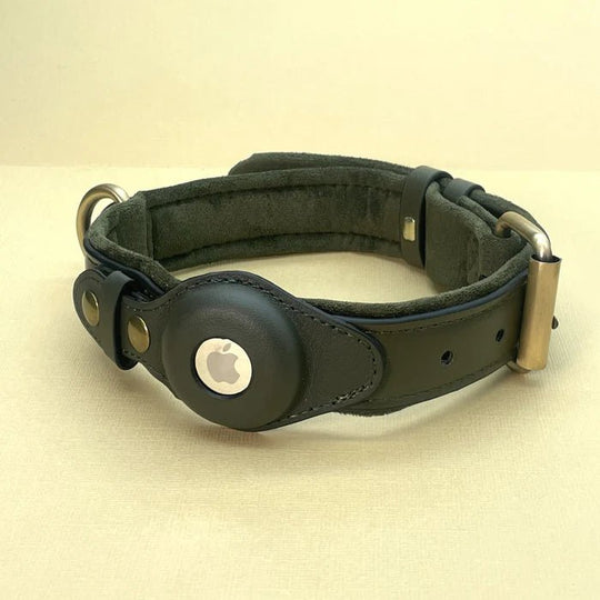 Halsband Hond Met AirTag Bevestiging Voor Buitenactiviteit En Comfort 5