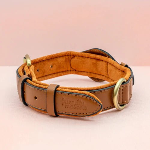 Halsband Hond Met AirTag Bevestiging Voor Buitenactiviteit En Comfort 7