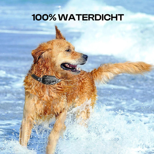 Halsband Hond Trainingshalsband met Geluid en Vibratie voor Honden 4