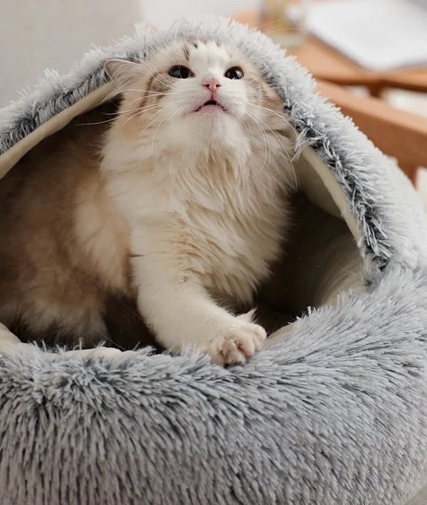 Honden- en kattenmand voor een knusse en veilige omgeving 1
