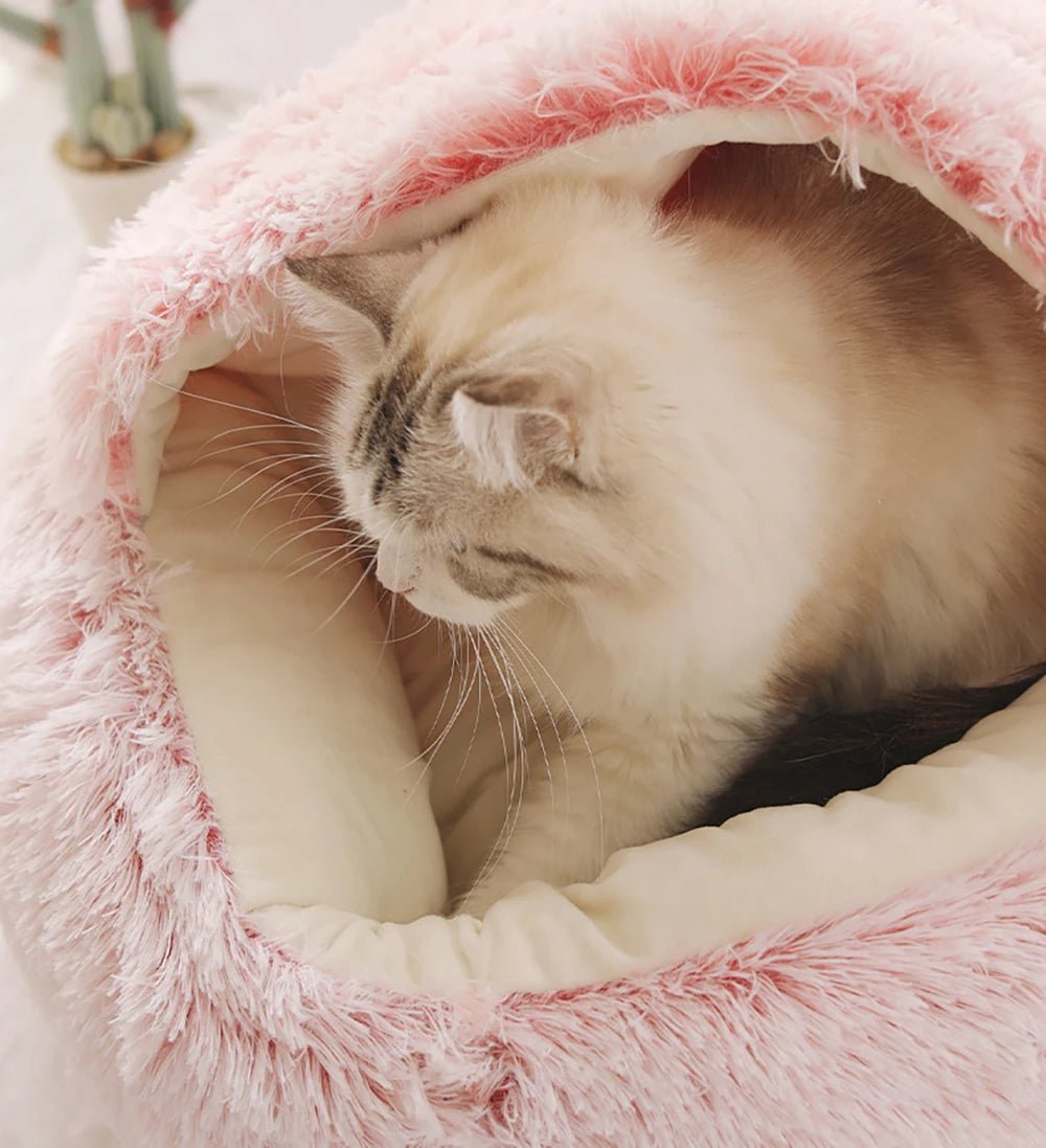 Honden- en kattenmand voor een knusse en veilige omgeving 3