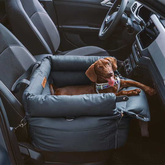 Honden Autostoeltje Comfortabel en Veilig voor Reiservaring 3
