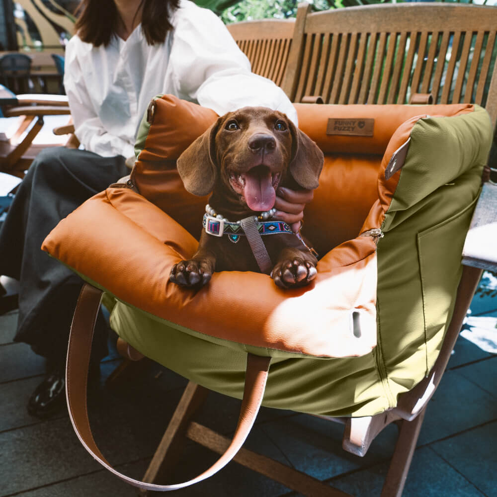 Honden Autostoeltje Comfortabel en Veilig voor Reiservaring 4