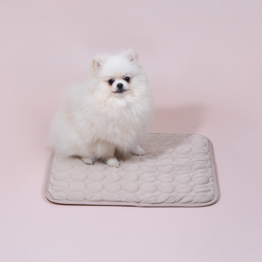 Honden Koelmat Innovatief Design 3