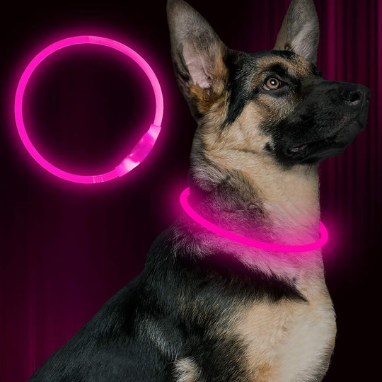 Honden LED-halsband Oplaadbaar Veiligheidslampje 0