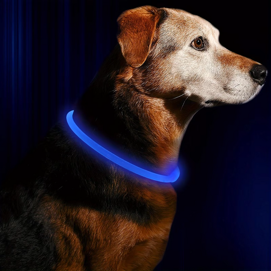 Honden LED-halsband Oplaadbaar Veiligheidslampje 10
