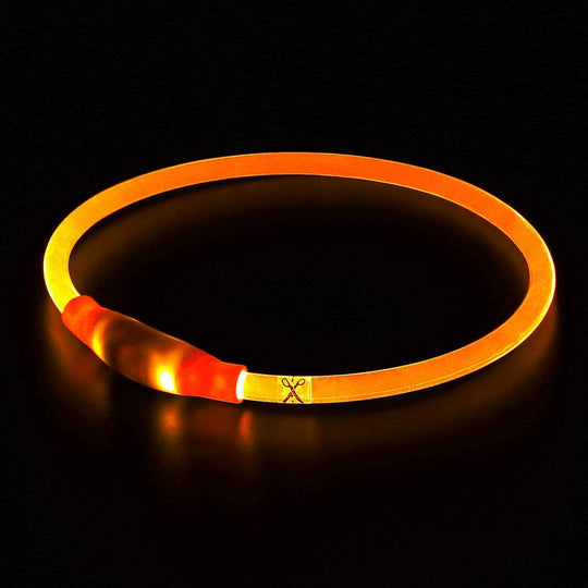 Honden LED-halsband Oplaadbaar Veiligheidslampje 4