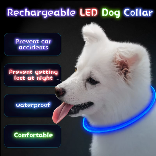 Honden LED-halsband Oplaadbaar Veiligheidslampje 6