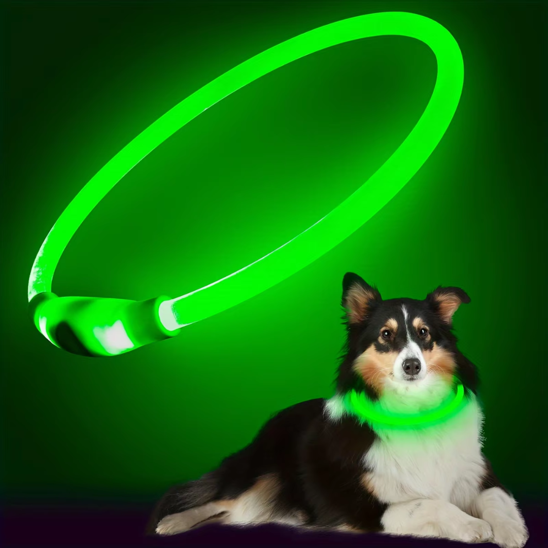 Honden LED-halsband Oplaadbaar Veiligheidslampje 9