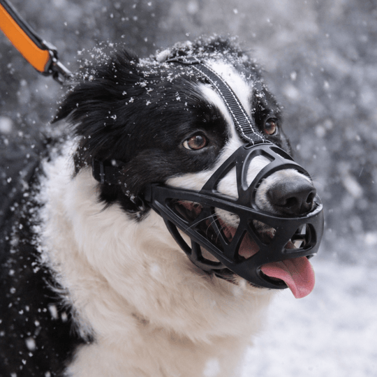 Honden Muilkorf Ademend en Lichtgewicht voor Comfortabele Controle 0