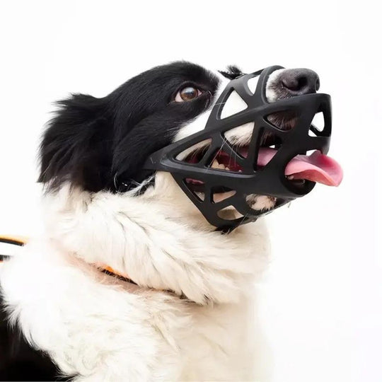 Honden Muilkorf Ademend en Lichtgewicht voor Comfortabele Controle 3