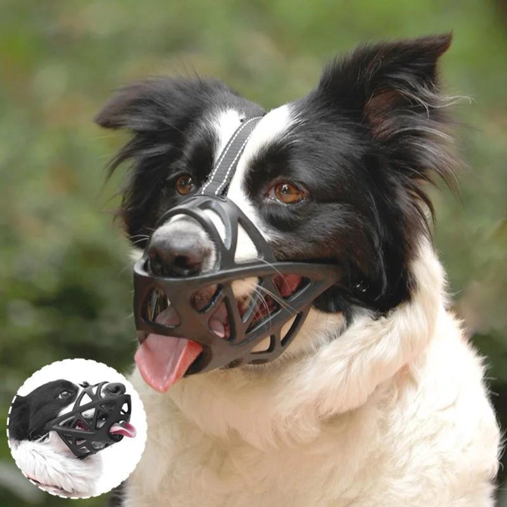 Honden Muilkorf Ademend en Lichtgewicht voor Comfortabele Controle 4