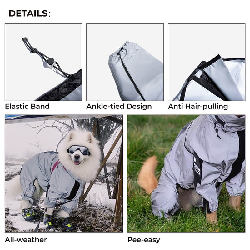 Honden Regenjas Reflecterend Waterdicht met Harnasopening 4