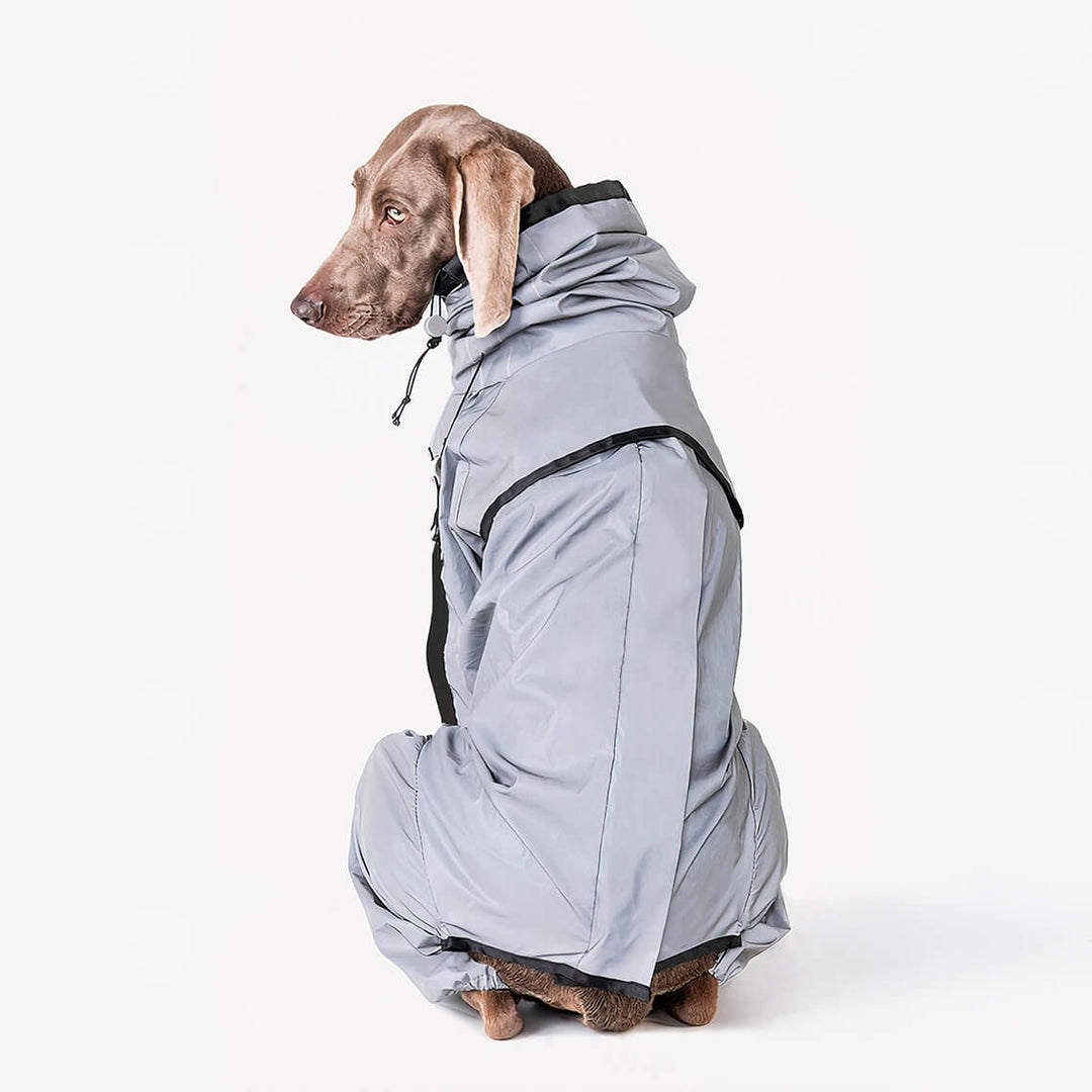 Honden Regenjas Reflecterend Waterdicht met Harnasopening 7