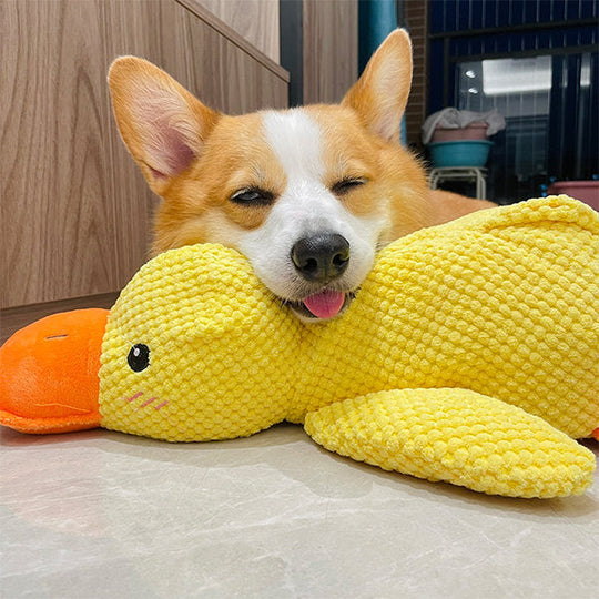 Honden Speelgoed Kalmerende Eend 0