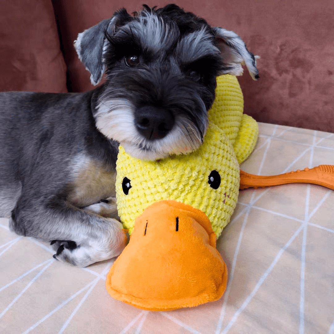 Honden Speelgoed Kalmerende Eend 5