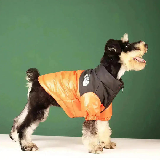 Honden Winterjas Met Ritssluiting 7