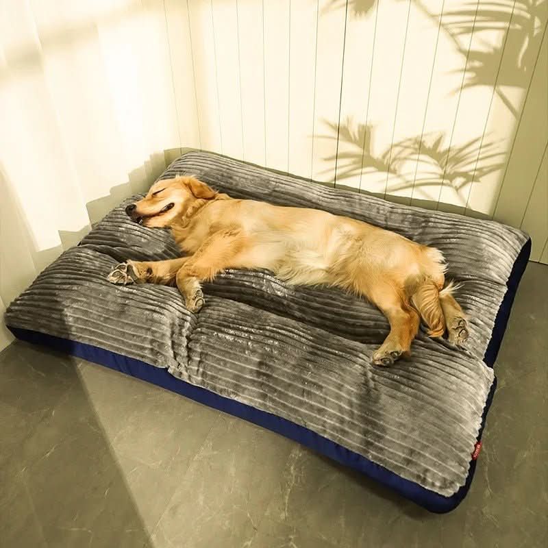 Hondenbed voor Comfort en Ondersteuning 0