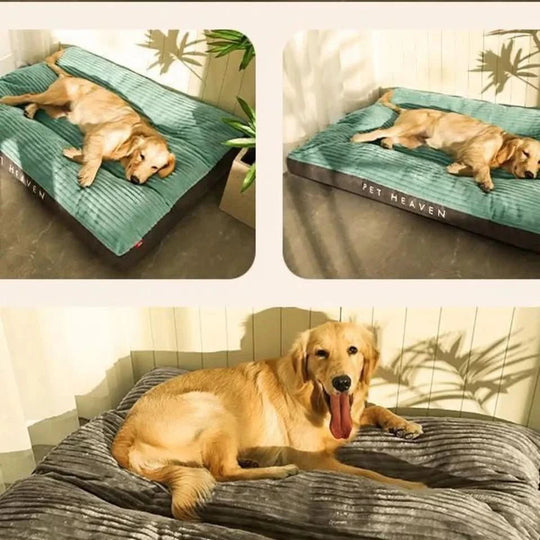 Hondenbed voor Comfort en Ondersteuning 2