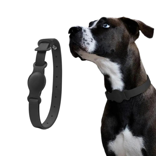 Hondenhalsband voor AirTag met Luxe Leer 0