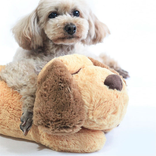 Hondenknuffel met Hartslag voor Puppy’s 3