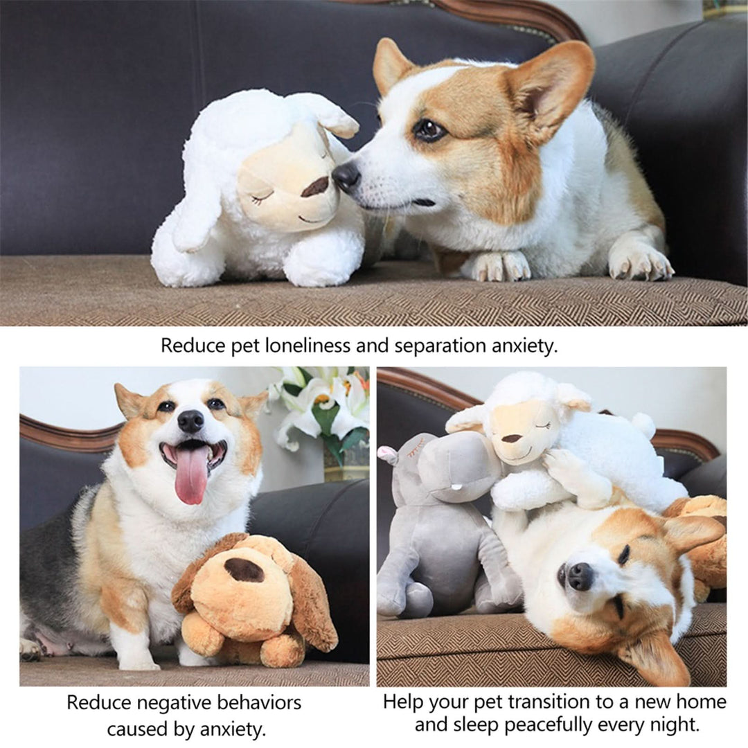 Hondenknuffel met Hartslag voor Puppy’s 4