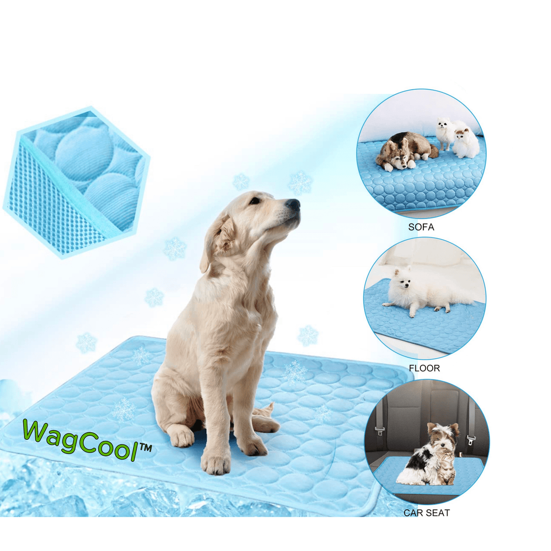 Hondenmat voor Koeling en Comfort 2