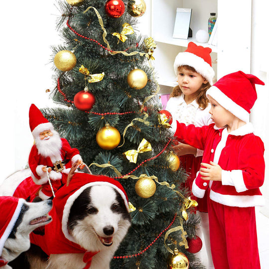 Hondenoutfit voor Kerst 2