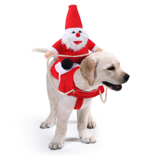 Hondenoutfit voor Kerst 6