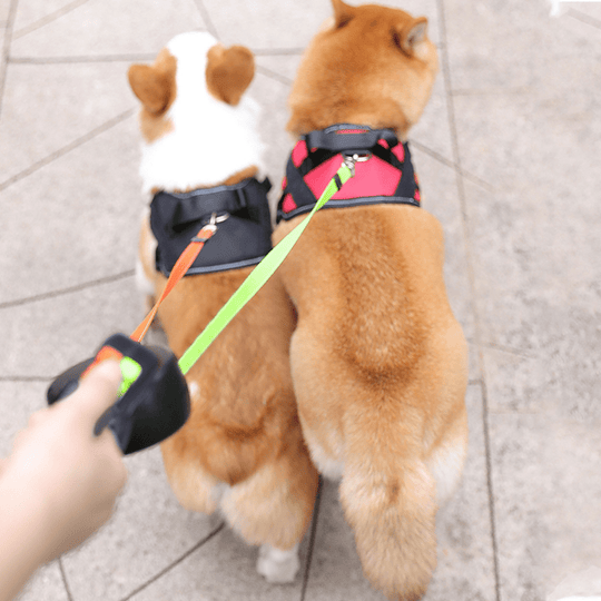 Hondenriem voor Twee Honden met Intrekbaar Systeem 2