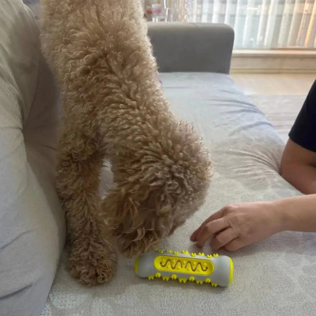 Hondenspeeltje voor Ontspanning en Comfort 6
