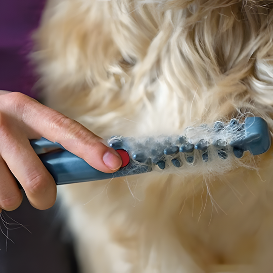 Huisdieren Verzorgingshulpmiddel voor Ontwarren 3