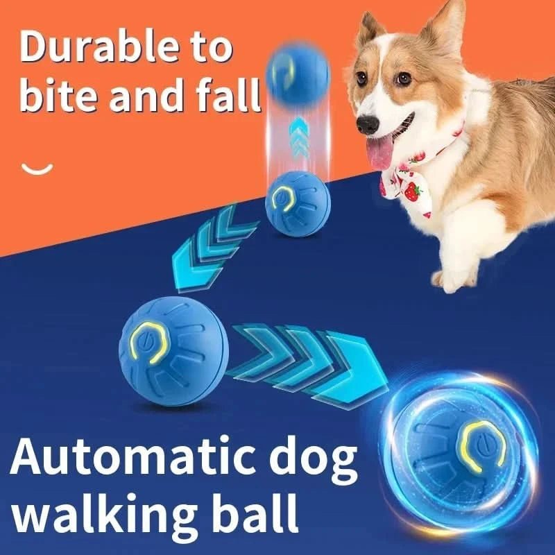 Interactieve Hondenbal met Automatische Beweging 2
