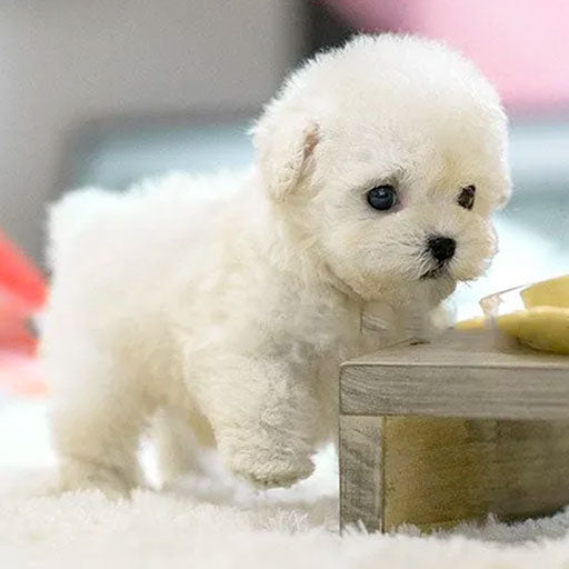 Interactieve Robot Puppy Pluche Speelgoed 1