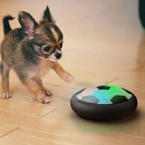 Interactieve Speelbal voor Honden met Onvoorspelbare Bewegingen 4