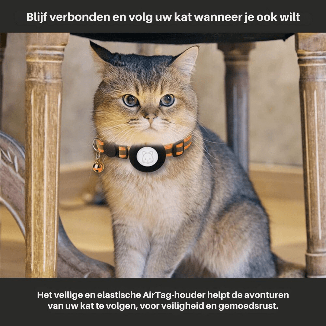 Katten GPS-trackerhalsband voor Veiligheid en Zichtbaarheid 3