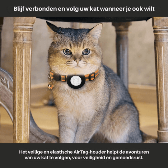 Katten GPS-trackerhalsband voor Veiligheid en Zichtbaarheid 3