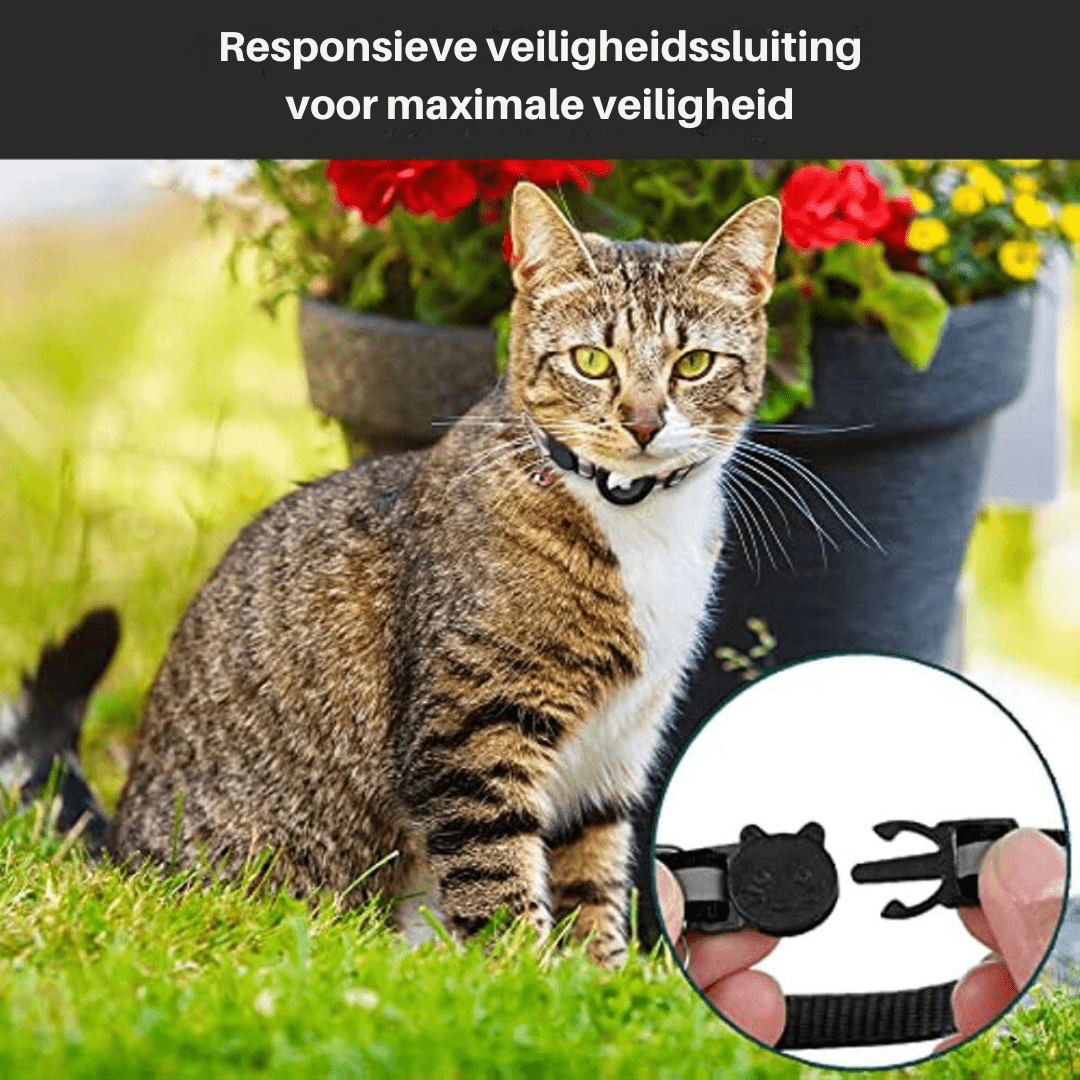 Katten GPS-trackerhalsband voor Veiligheid en Zichtbaarheid 5