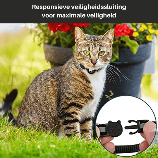 Katten GPS-trackerhalsband voor Veiligheid en Zichtbaarheid 5