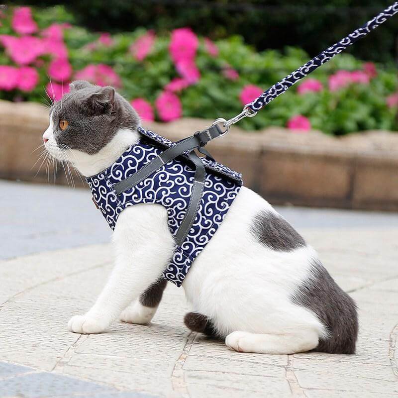 Katten Harnas voor Buitenactiviteiten 0