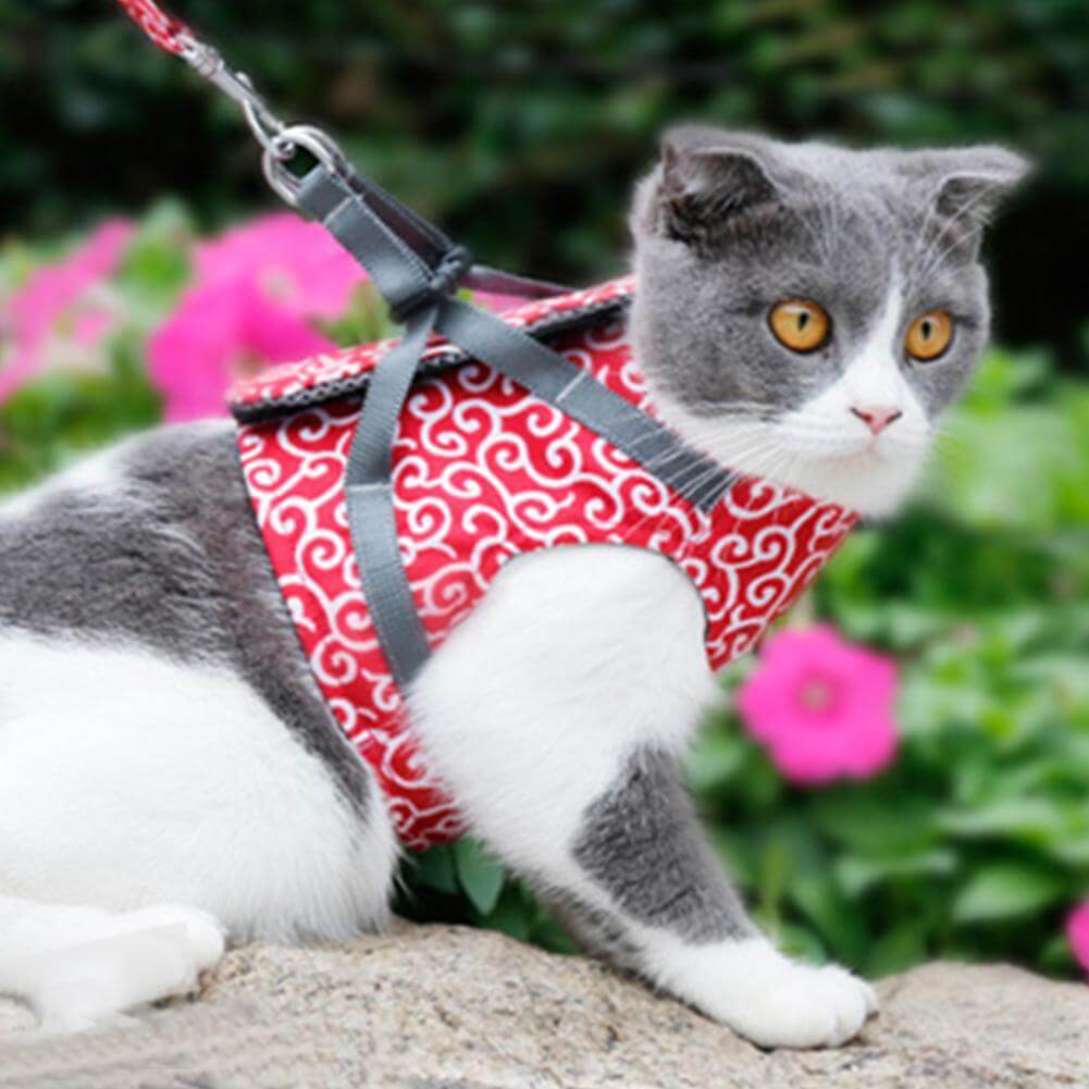 Katten Harnas voor Buitenactiviteiten 1